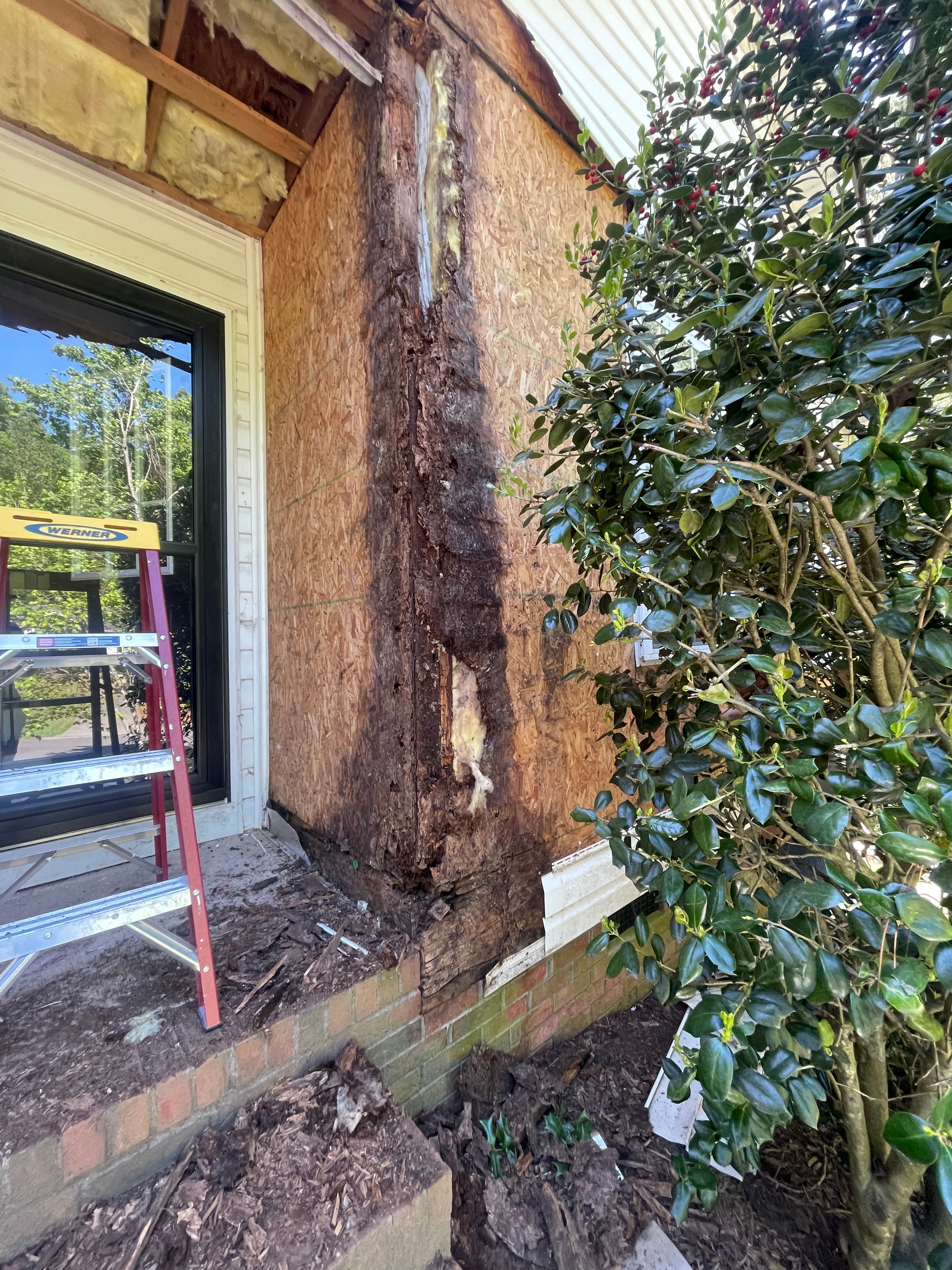Water Damaged Siding